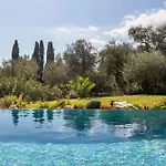 Villa Mateo Stone